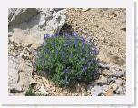 IMG_1096 * 2272 x 1704 * (1.92MB)
