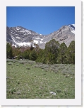 p6290079 * 2304 x 3072 * (1.59MB)