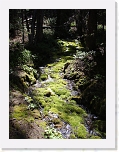 p6290082 * 2304 x 3072 * (1.55MB)