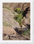 pa100123 * 2304 x 3072 * (1.54MB)