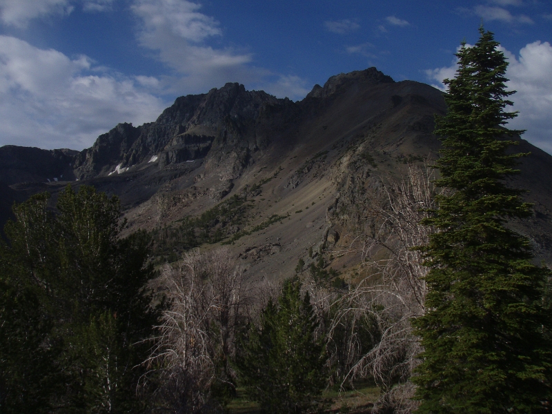 P7270009