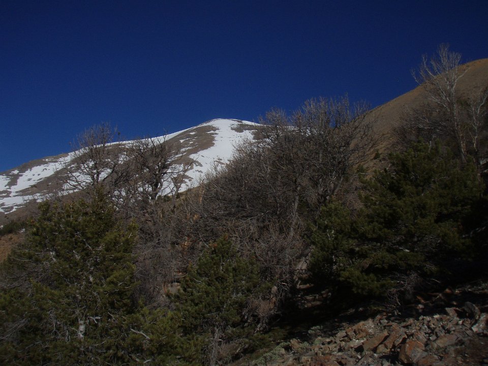 P6010003