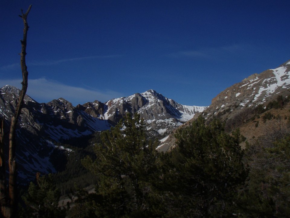 P6010004