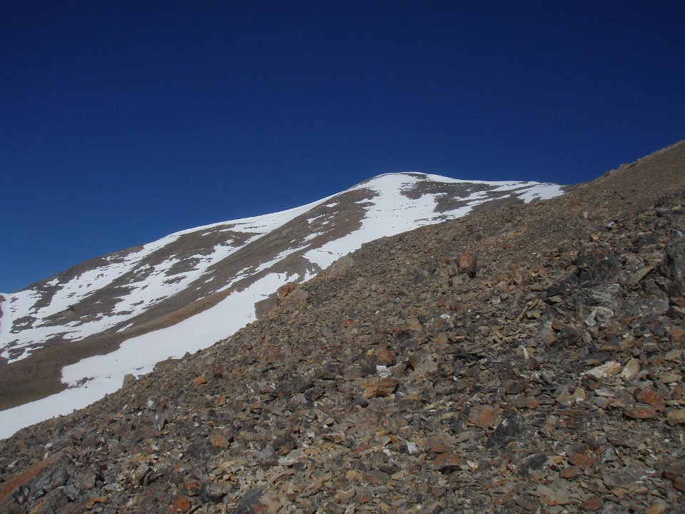 P6010007