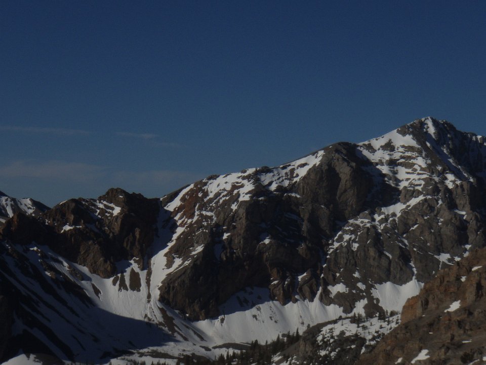 P6010011