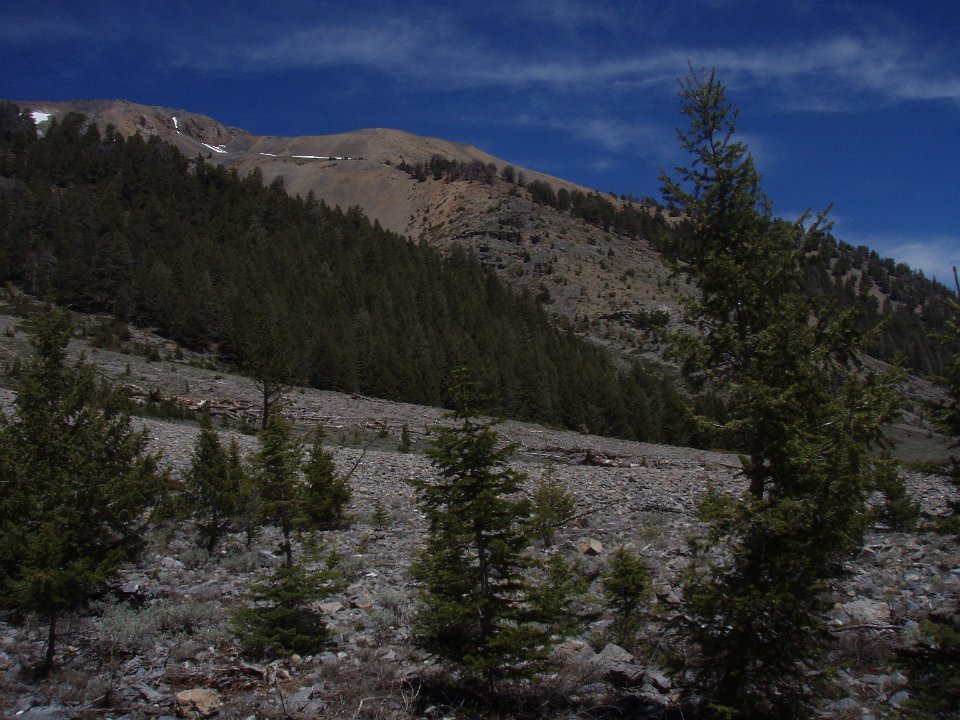 P6010033