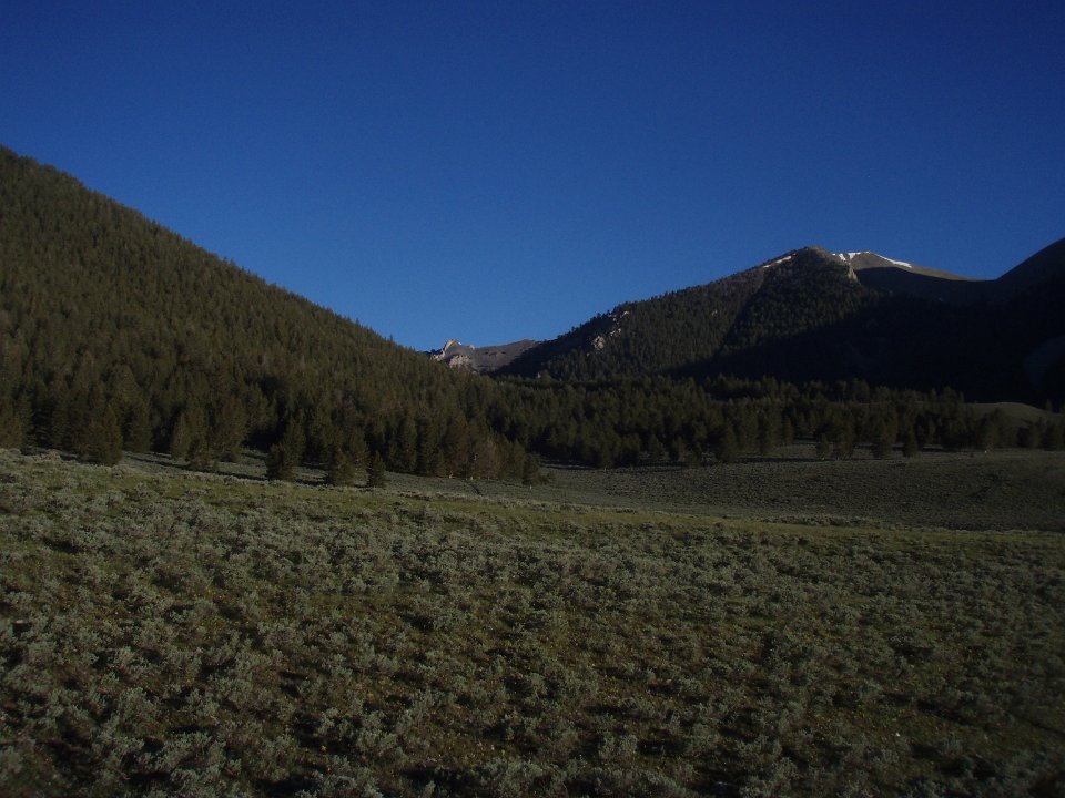 P6150006