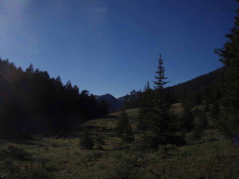 P6150008
