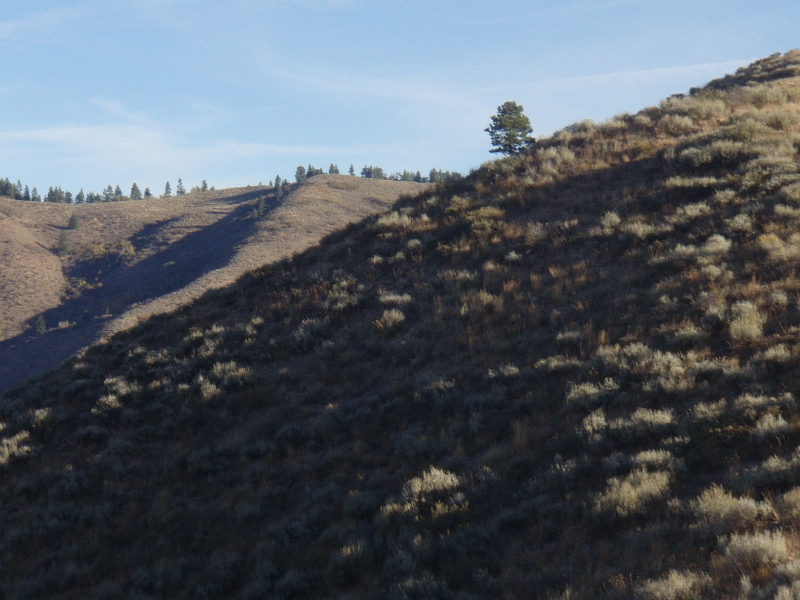 PA050050