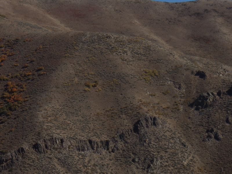 PA050058