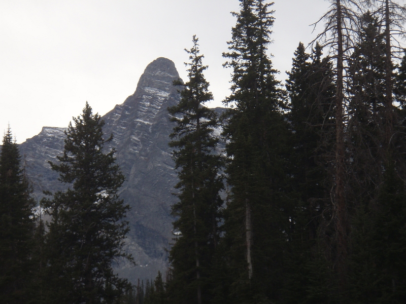 PA110005