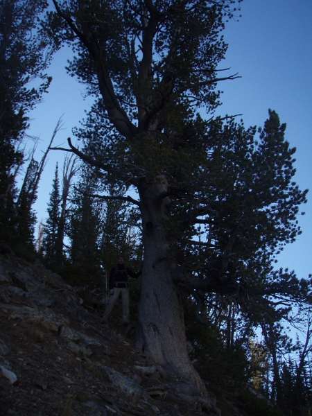 PA040046