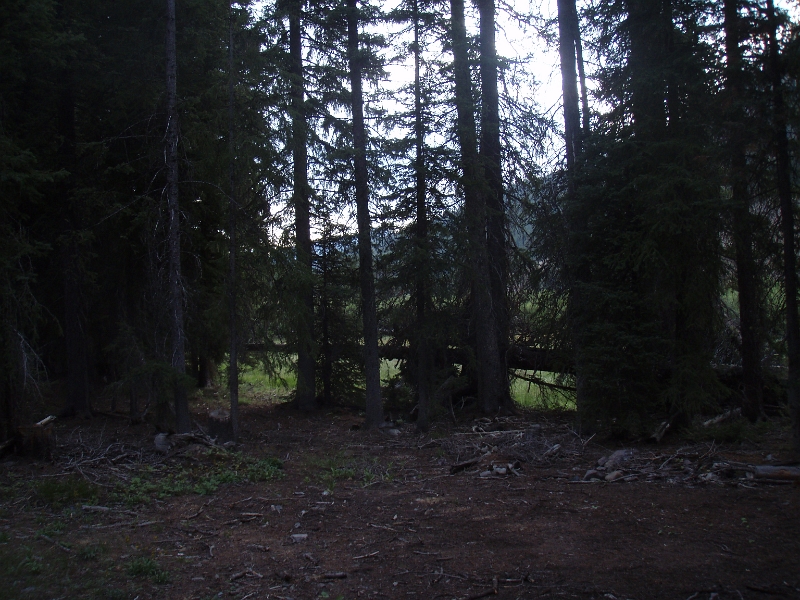 P8030001