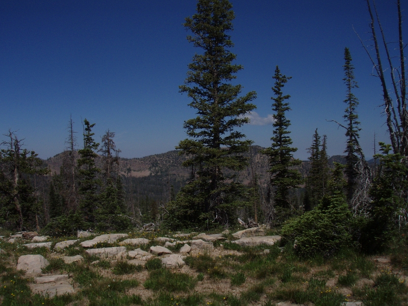 P7030011