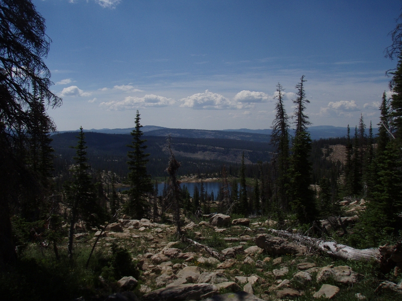 P7030012