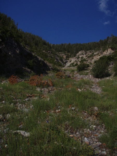 P7300031