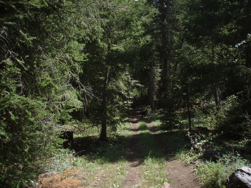 P7300048