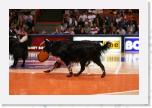 _MG_2494 * 3456 x 2304 * (3.18MB)